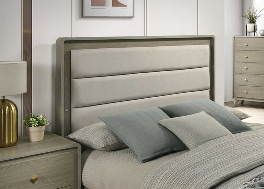 Contemporary Gray Bed with LED Wood Panel Headboard