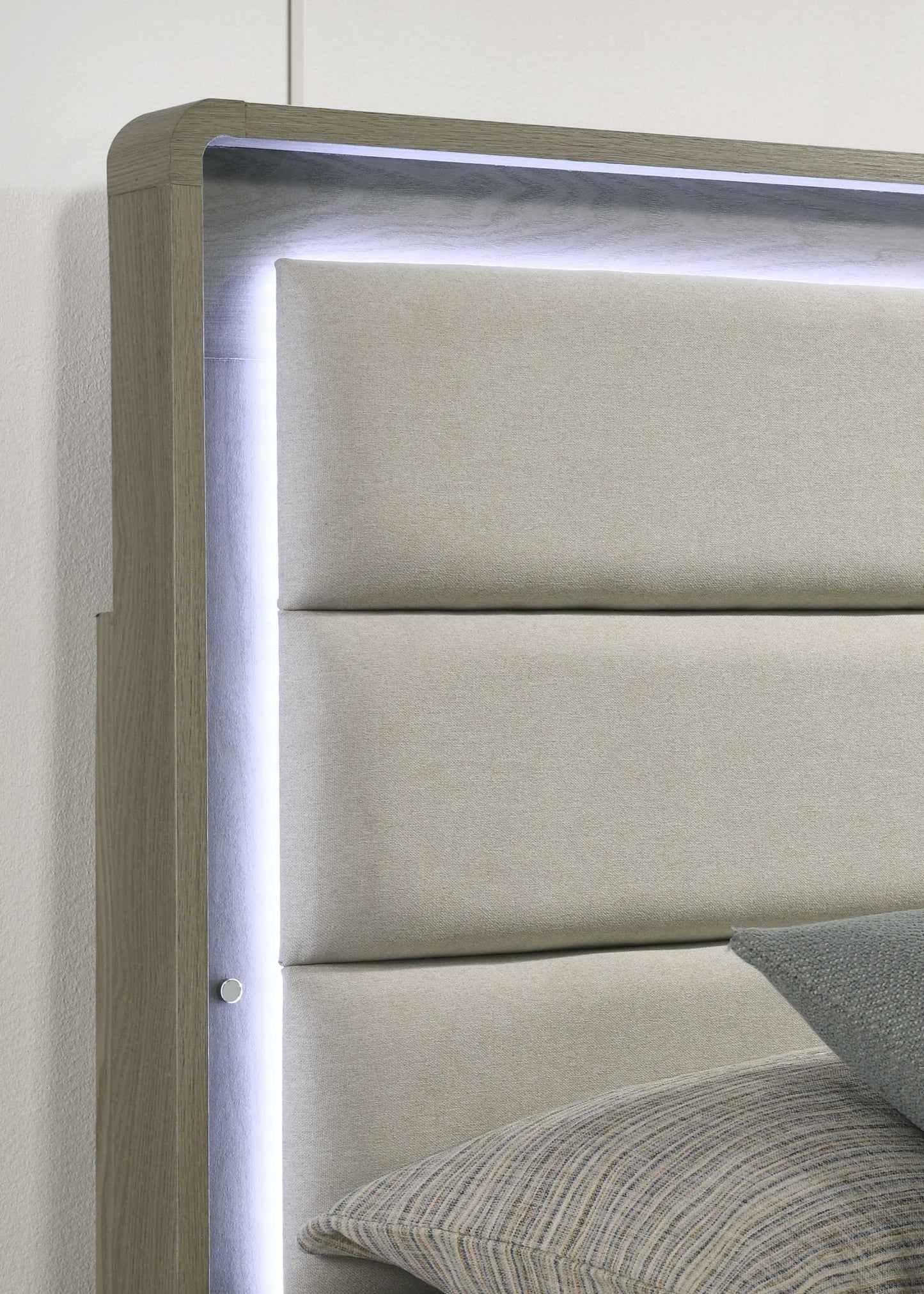 Contemporary Gray Bed with LED Wood Panel Headboard