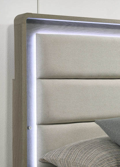 Contemporary Gray Bed with LED Wood Panel Headboard