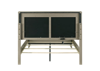 Contemporary Gray Bed with LED Wood Panel Headboard