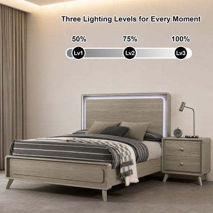 Contemporary Gray Bed with LED Wood Panel Headboard