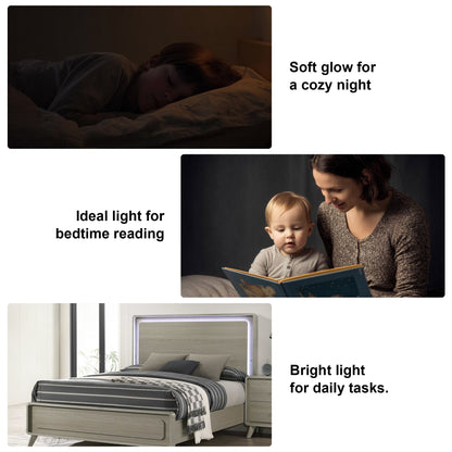 Contemporary Gray Bed with LED Wood Panel Headboard
